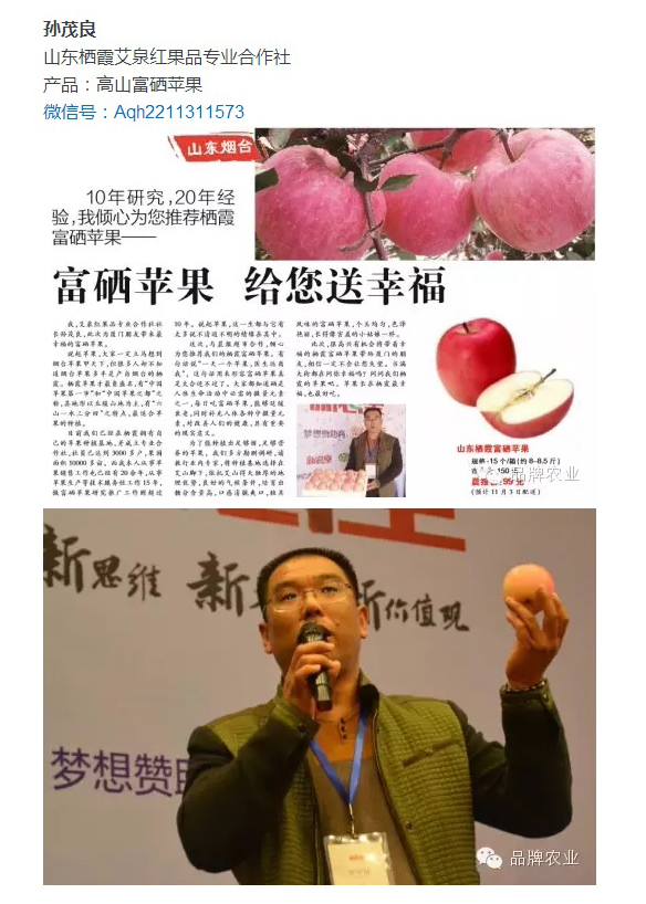 公司新聞